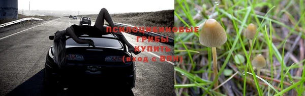 а пвп мука Алзамай
