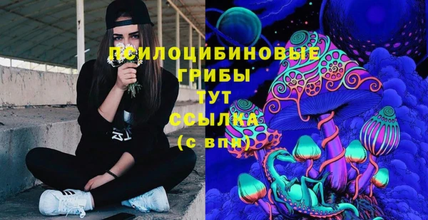 мяу мяу мука Алексин