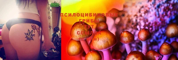 ECSTASY Аркадак