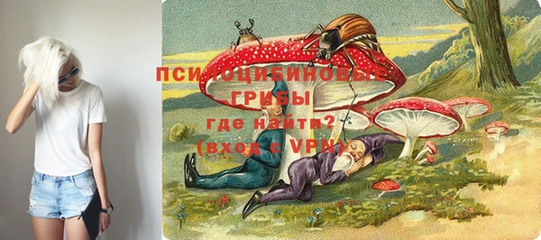мяу мяу мука Алексин