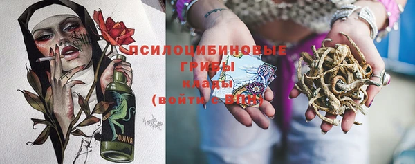 а пвп мука Алзамай
