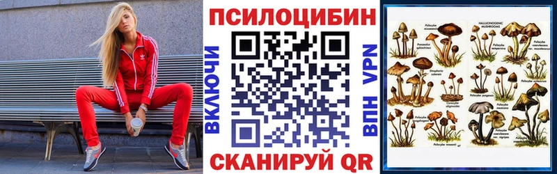 Купить где  Скопин  Галлюциногенные грибы мицелий 